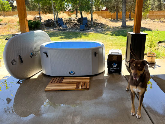 THE LUXE EXPERIENCE